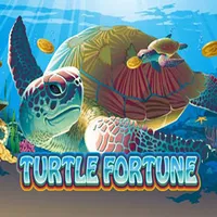 Turtle Fortune