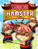 Shinobi Hamster
