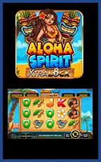 Aloha Spirit Xtra Lock
